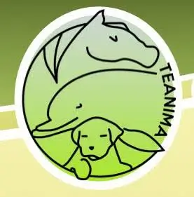 logo teanima